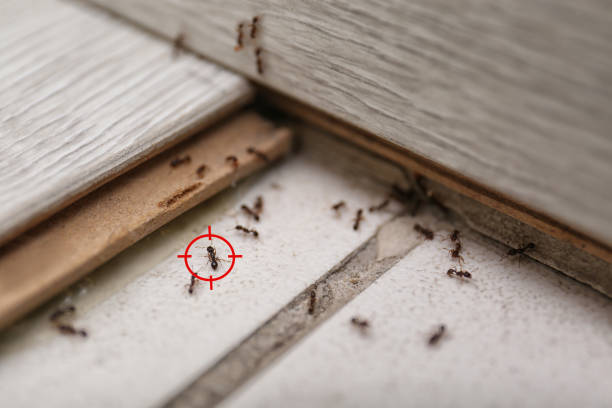 Best Pest Inspection Near Me  in Marbury, AL