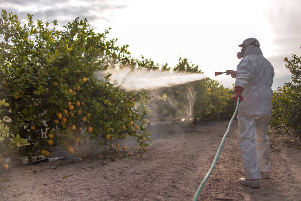 Best Ant Control Services  in Marbury, AL