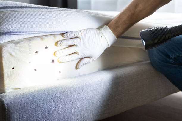 Reliable Marbury, AL Pest Control Solutions