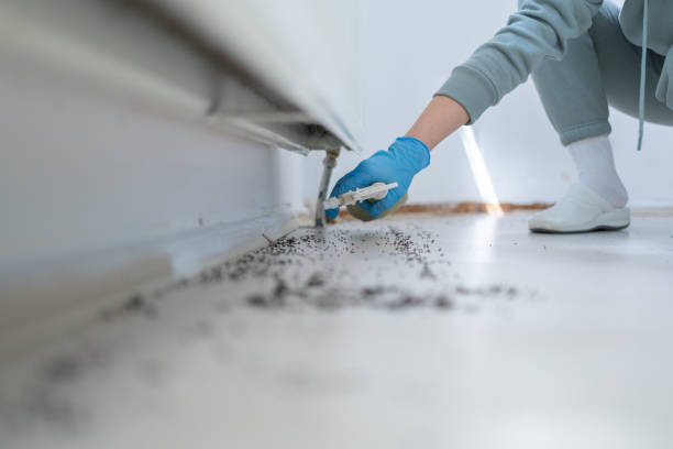 Best Affordable Pest Control Services  in Marbury, AL